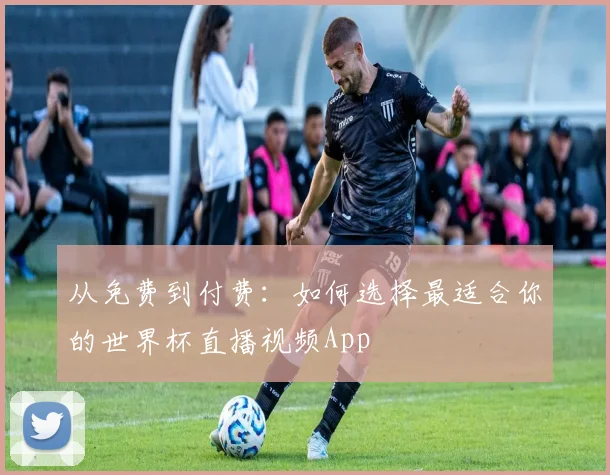 从免费到付费：如何选择最适合你的世界杯直播视频App