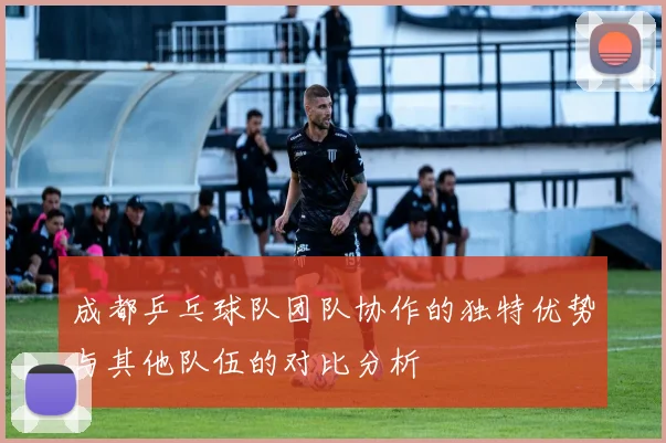 成都乒乓球队团队协作的独特优势与其他队伍的对比分析